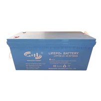 24v 100Ah Home Energy Storage Lifepo4 Battery